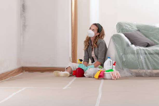 Reliable Mold Remediation contractor in Reston, VA by Car Mold Remediation